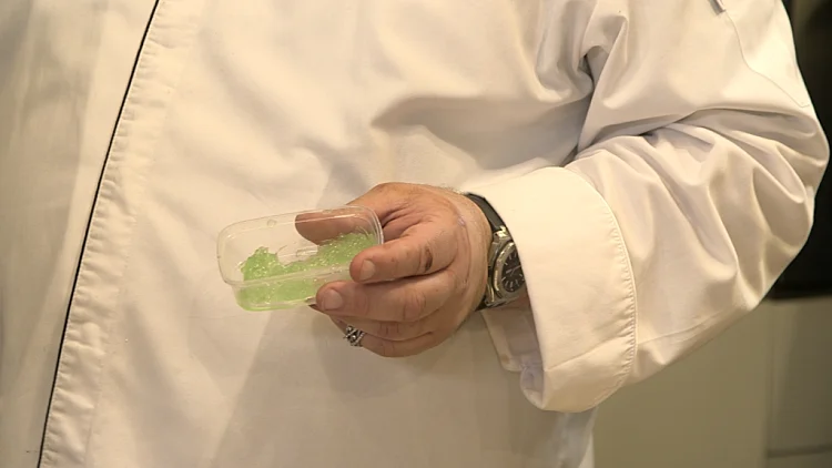 איך יוצרים קוביות אלוורה?