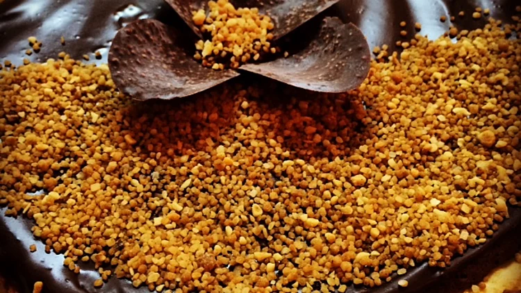 פאי שוקולד | רשת 13