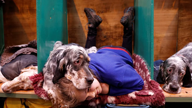 תמונות השבוע בעולם: חברות ללא תנאים | חדשות 13