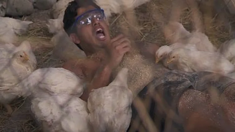 המירוץ למיליון – עונה 4 פרק 3: ברוכים הבאים לגיאורגיה | רשת 13