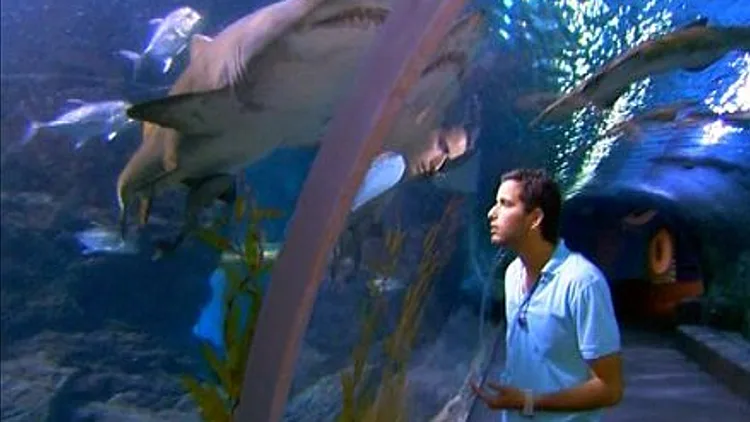 המירוץ למיליון – עונה 2 פרק 19: כובשים את בנגקוק | רשת 13