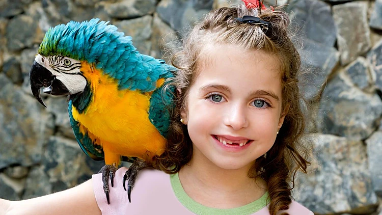 מתכוננים לחגים: הקופונים הכי שווים ברשת