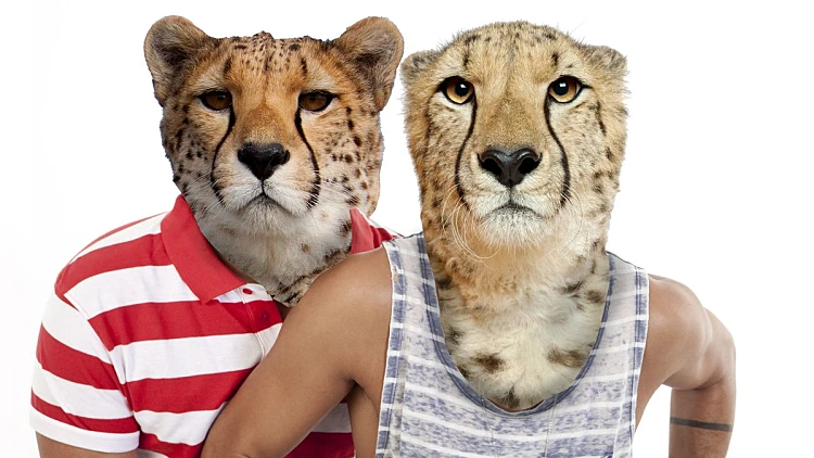 ברוכים הבאים לאפריקה: איזו חיית פרא אתם? | רשת 13