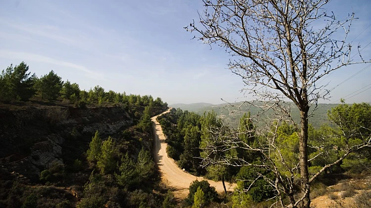 מטיילים באזור ירושלים: יער עמינדב ויד קנדי | רשת 13