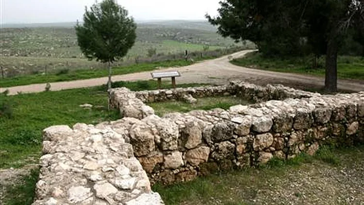 כל הדרכים מובילות ליער המלאכים | רשת 13