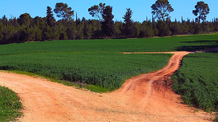 הטבע במיטבו: אטרקציות ביער בן שמן | רשת 13