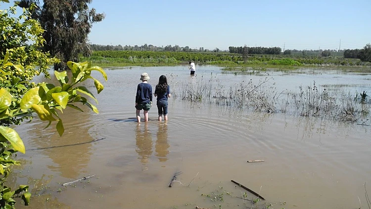 מסלול לשבת: בריכות חורף באמצע העיר