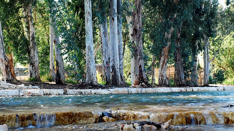 מעמק המעיינות לגלבוע: טיול מושלם לשבת