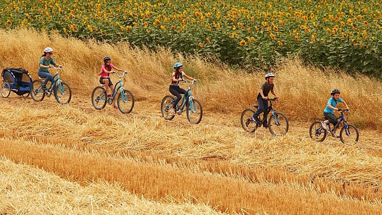 סוכות עם הילדים: כל האירועים הכי שווים