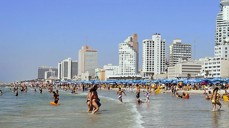 סכנה בחופי תל אביב: הדגים הנושכים חזרו