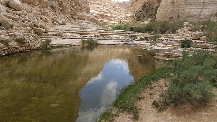 מדרום תצא חופשה: המלצה לטיול ולינה | רשת 13