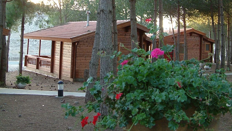 420 שקל ללילה: מלון טוב וזול ליד החרמון