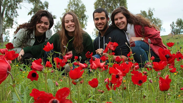 דרום אדום, תותים ובוב מארלי: כל אירועי הסופ"ש