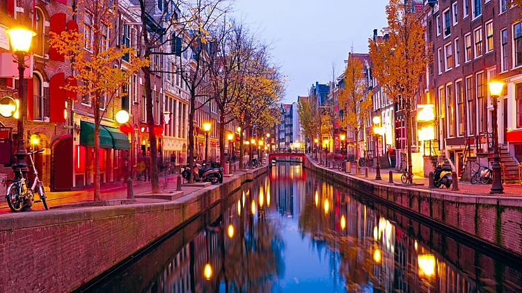 5 אטרקציות שאסור לפספס בבירה ההולנדית