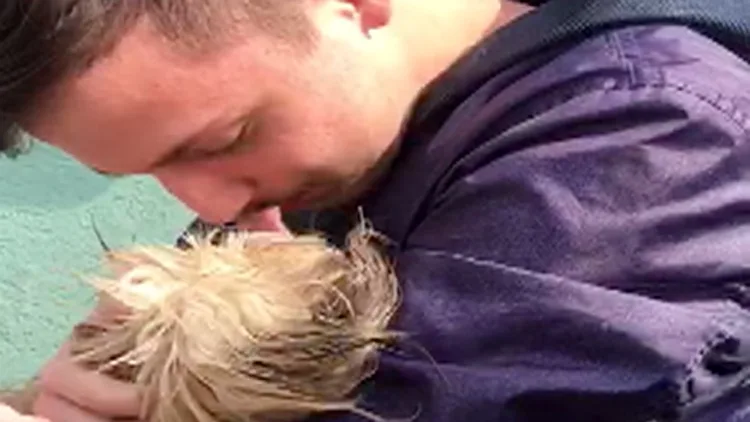 הכלבה שנמצאת פצועה ומיובשת, רגע האיחוד עם בעליה