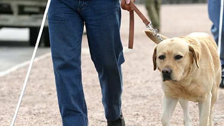 אילוסטרציה