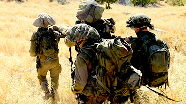 "מדובר במזון שמכיל חלבון וברזל - בדיוק מ