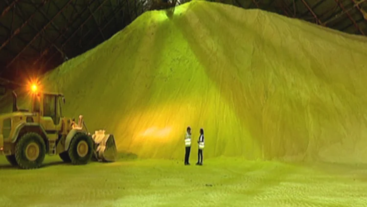 עתיד מתוק: האם נמצא הפתרון לתחליף לסוכר? | חדשות 13