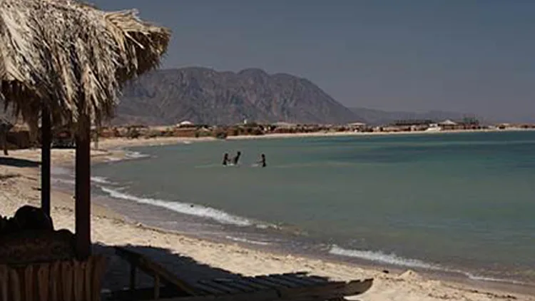 נופשים בסיני. ארכיון