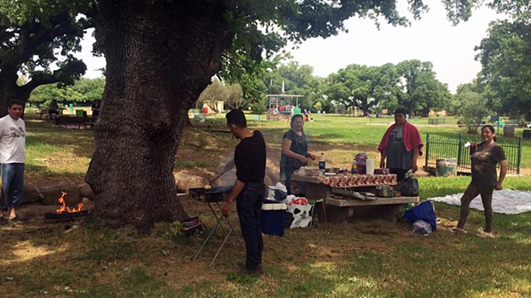 רבבות יצאו לטייל: עומסים בשמורות הטבע | חדשות 13