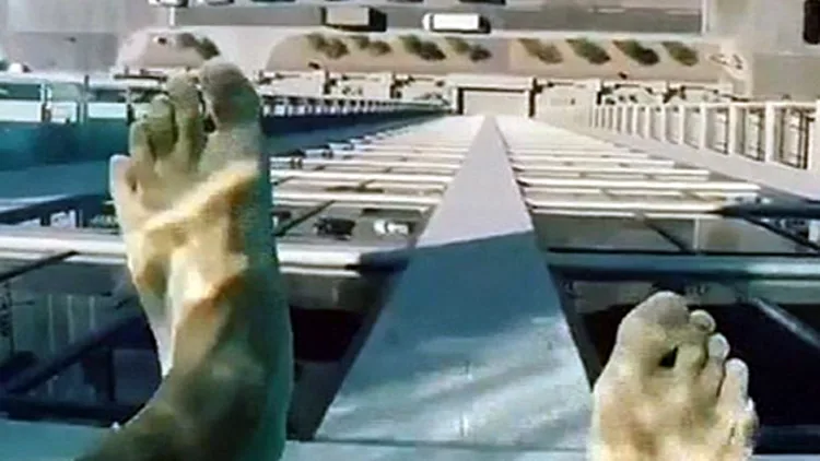 כך זה נראה לשחות "באוויר" בגובה 154 מטרים | רשת 13