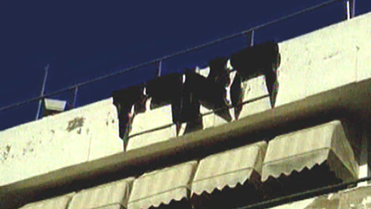 מאמר נגד הציונות הדתית: "טקסט אנטישמי, 'הארץ' בשפל חדש" | חדשות 13