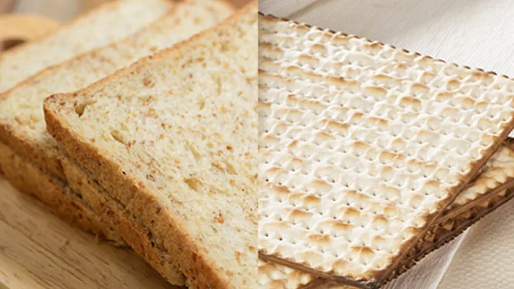 צפו: מצה - לא מה שחשבתם