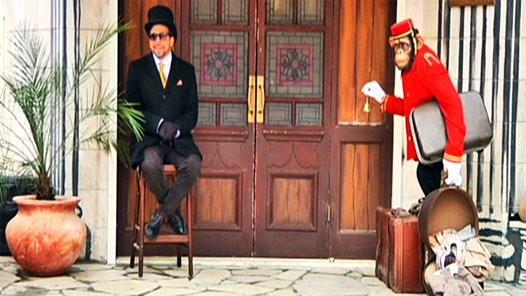 מבט מבפנים: מלון המחאה של בנקסי | חדשות 13