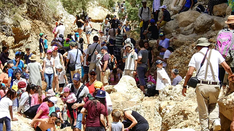חוגגים בטבע: כ-150 אלף מטיילים בגנים ובשמורות | חדשות 13