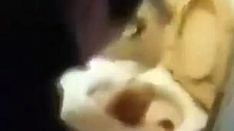 לא ידעה שהיא בהריון - מההלם הותירה את התינוקת באסלה