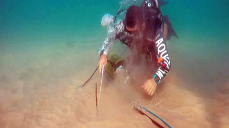 ספינת המעפילים שושנה