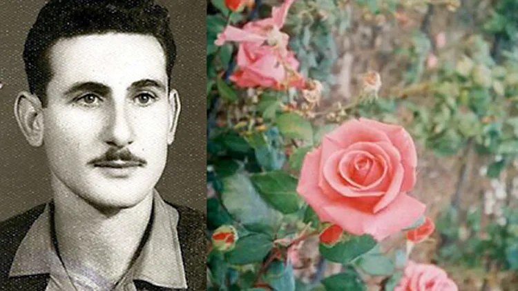 עמרם בן שישו וגינת הוורדים