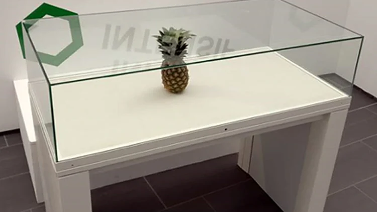 מתיחת סטודנטים: אננס הונח במוזיאון והפך ל"יצירה" | חדשות 13