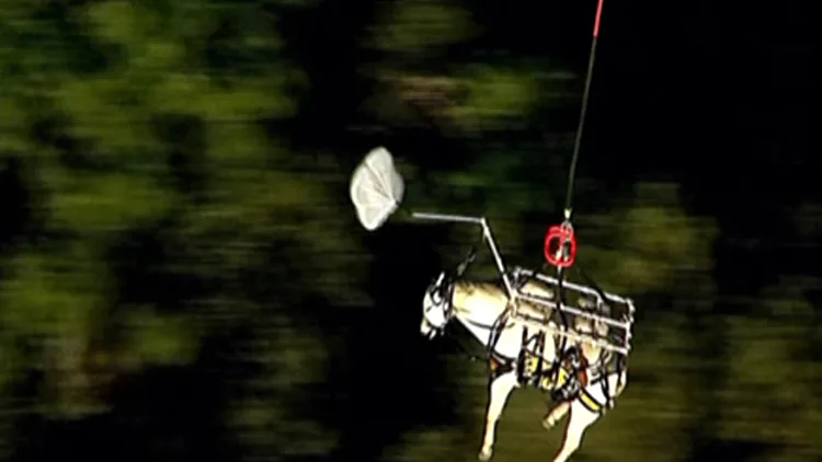 "טרמפ" במסוק לסוס שנתקע על הר | חדשות 13