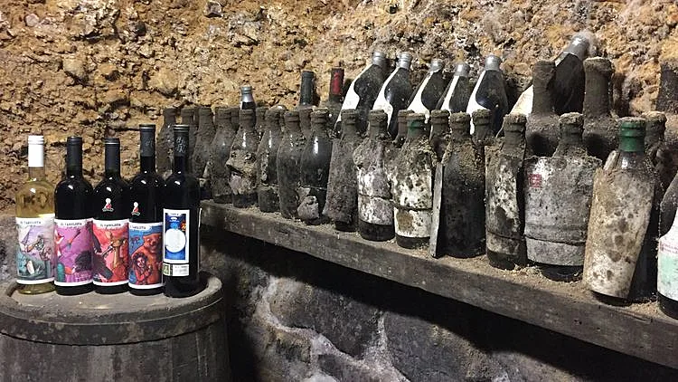 כך התאהבתי בחלבן מחבל הבסקים