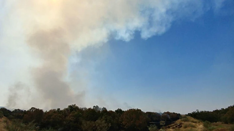 השריפה בבריכות החמצון (צילום: המשרד להגנת הסביבה)
