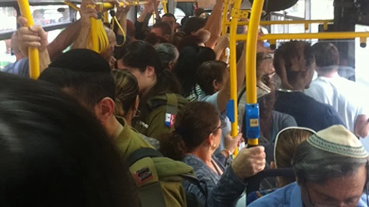 אוטובוס דן, תחבורה ציבורית