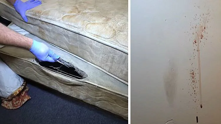 זה מה שמצא המבקר במלון