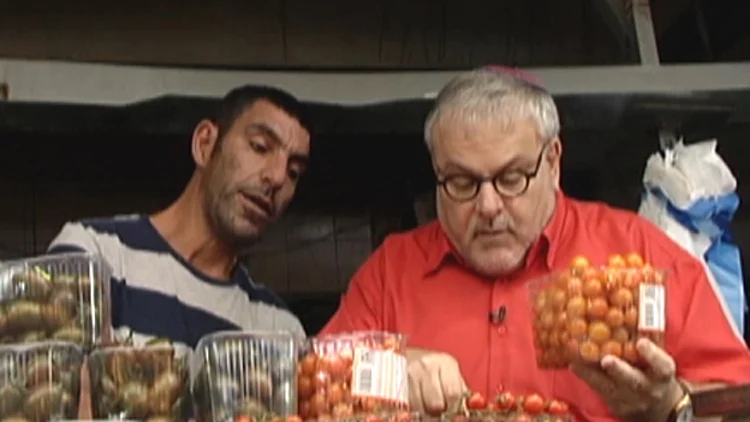 עגבניות שרי