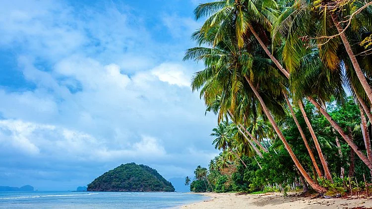 מה הייתם לוקחים לאי בודד? | רשת 13