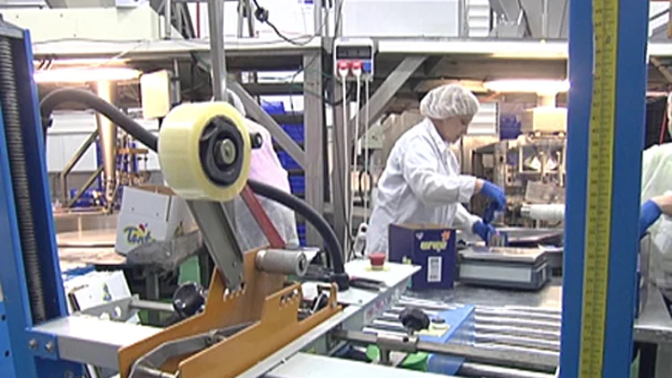 ערך מוסף: כמה קשה להקים מפעל חדש בישראל? | חדשות 13