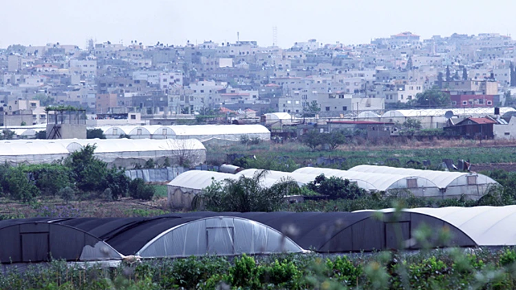 קלקיליה. ארכיון