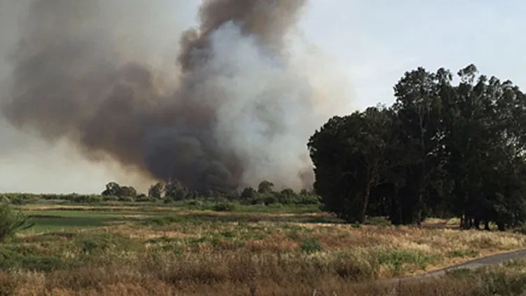 שריפת קוצים (ארכיון) (דוברות כבאות והצלה מחוז צפון)