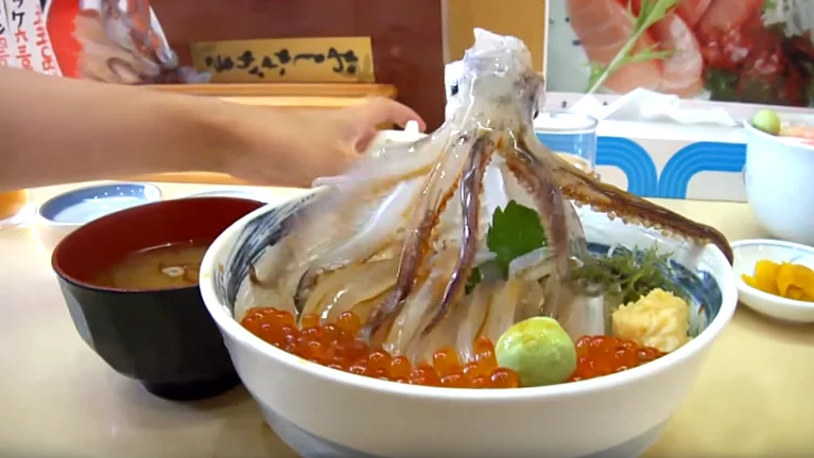 המאכלים הכי מגעילים שלא תאמינו שיש אנשים שאוכלים אותם | רשת 13