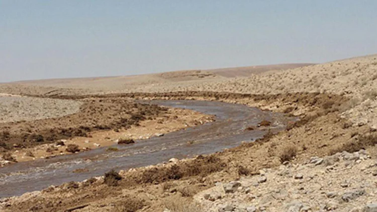 מי שפכים סמוך לים המלח