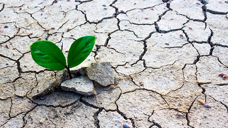 זה עניין של לחות | רשת 13