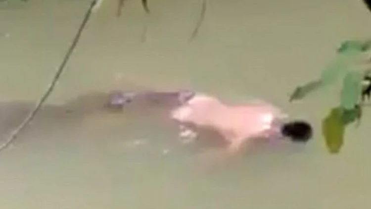 הטורף 'כושף' ע"י רופא אליל - גופת החבר הוחזרה לחוף