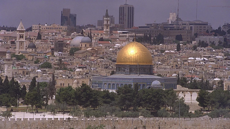 כל מה שרציתם לדעת ולא העזתם לשאול
