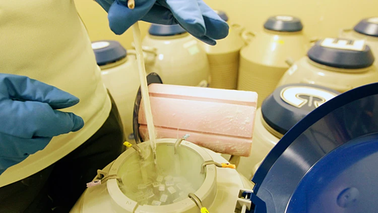 לראשונה: תוקן פגם גנטי בעוברים | חדשות 13