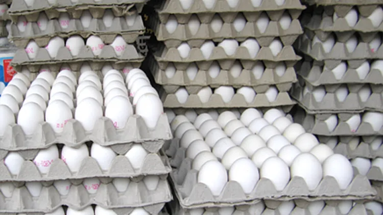 אילוסטרציה (חדשות 2)